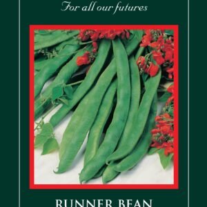 Suffolk Herbs Organic Runner Bean Lady Di 40 Seed