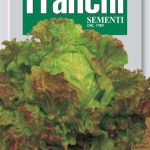 Franchi Seeds of Italy Lettuce Rossa Di Trento Seeds
