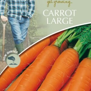 Mr Fothergills - David Domoney - Vegetable - Carrot Large - Jitka F1 - 500 Seeds