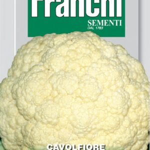 Franchi Seeds of Italy - DBO 30/50 - Cauliflower - Marzatico - Seeds