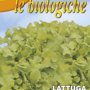 Franchi Organic BIOB78/24 Lettuce Salad Bowl 4000 Seeds