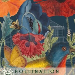 Thompson & Morgan Kew Pollinators Flower Poppy - 2000 Seeds