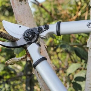 Darlac DP1025 Expert Fine Bypass Lopper Cut Capacity 25mm UK SHIPPING ONLY