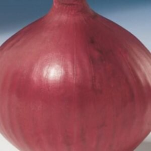 Onion Red Baron Seed