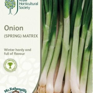 Mr Fothergills RHS Spring Onion Matrix 350 Seeds