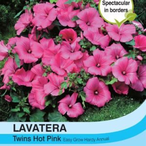 Thompson & Morgan - Flower - Lavatera - Twins Hot Pink - 25 Seeds