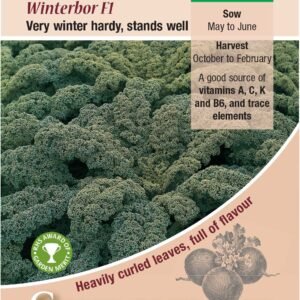 Kings Seeds Kale Winterbor F1 - 75 Seeds