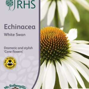 Mr Fothergills - RHS - Flower - Echinacea - White Swan - 50 Seeds