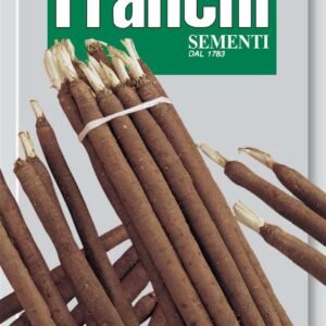 Franchi Seeds of Italy - DBO 122/1 - Black Salsify (Scorzonera) - Verbeterde Reuzen Nietschieters - Seeds