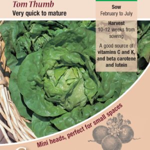 Kings Seeds Lettuce Tom Thumb 1400 Seeds
