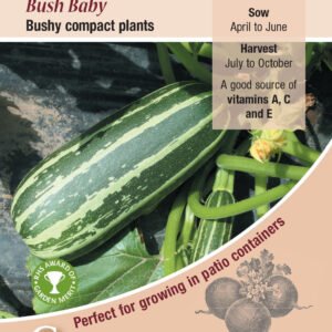 Kings Seeds Marrow Bush Baby AGM 10 Seeds