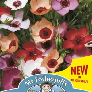 Mr Fothergills Flax (Linum) Charmer Mix 100 Seeds