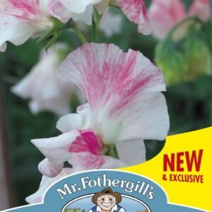 Mr Fothergills Sweet Pea Mayflower 400 20 Seeds