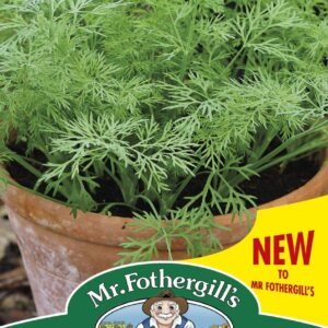 Mr Fothergills Dill (Dwarf) Nano 200 Seeds