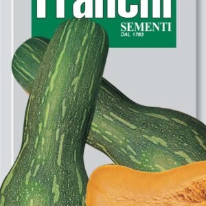 Franchi Seeds of Italy - DBO 145/12 - Pumpkin - Lunga Cilindrica Napoli - Seeds