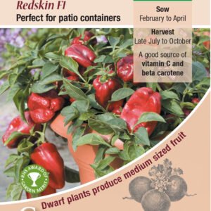 Kings Seeds Sweet Pepper Redskin F1 - 10 Seeds