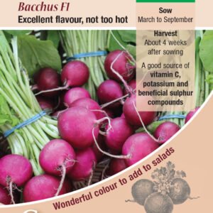 Kings Seeds Radish Bacchus F1 - 300 Seeds