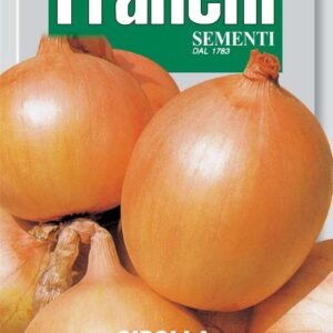 Franchi Seeds of Italy Onion Texas Early Grano 502 - Seeds