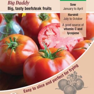 Kings Seeds Tomato Big Daddy 15 Seeds