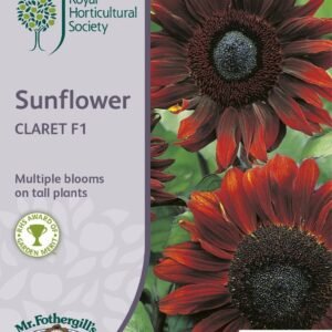 Mr Fothergills RHS Sunflower Claret F1 40 Seeds