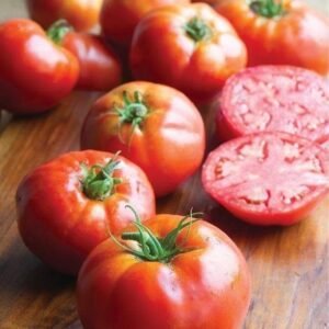 Tomato Big Daddy F1 Hybrid Seeds