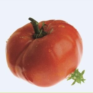 Tomato Delicious Seeds