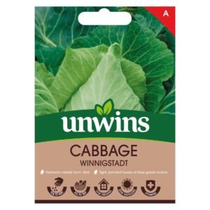 Unwins Vegetable Cabbage Winnigstadt - 250 Seeds