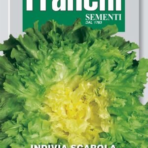 Franchi Seeds of Italy Endive Verde A Cuore Pieno Seeds
