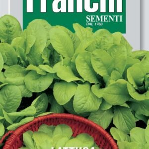 Franchi Seeds of Italy Lettuce Bionda A Foglia Liscia Seeds