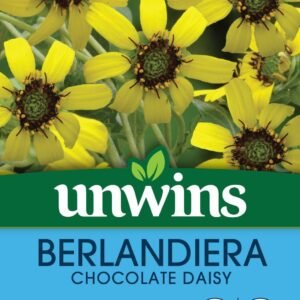Unwins Berlandiera Chocolate Daisy 15 Seeds