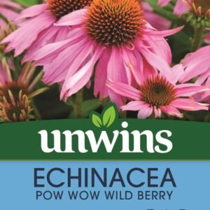 Unwins Echinacea Pow Wow Wild Berry 10 Seeds