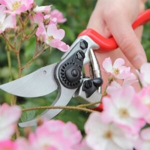 Darlac DP1030A Expert Bypass Pruner Garden Secateurs Cut Capacity 25mm UK SHIPPING ONLY