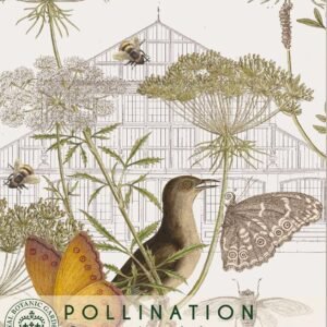 Thompson & Morgan Kew Pollinators Flower Queen Anne's Lace - 75 Seeds