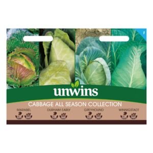 Unwins Vegetable Cabbage All Season Collection Pack  - 1000 Seeds