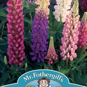 Mr Fothergills - Flower - Lupin - Festival Mixed - 30 Seeds