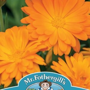 Mr Fothergills - Flower - Calendula - Funky Stuff - 45 Seeds