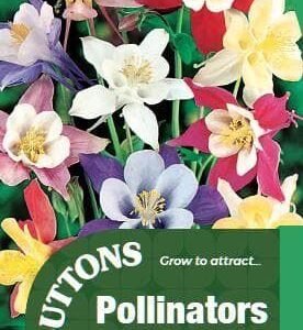 Sutton Seeds - Aquilegia Seeds - Pretty Bonnets Mix
