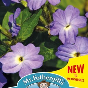 Mr Fothergills - Flower - Forget-Me-Not (Jamaican) Blue Lady - 1000 Seeds