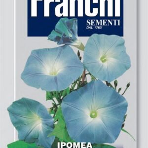 Franchi Seeds of Italy - Flower - FDBF_ 333-2 - Ipomea Blue - Morning Glory - Seeds