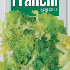 Franchi Seeds of Italy Mix Of Endives And Escaroles Di Indivie E Scarole Seeds