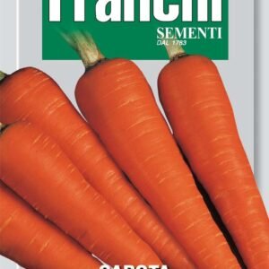 Franchi Seeds of Italy Carrot Chantenay Seeds
