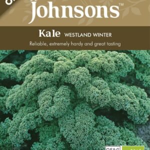 Johnsons Organic Kale Westland Winter 40 Seeds