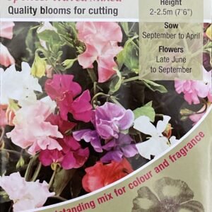 Kings Seeds Sweet Pea Spencer Waved Mixed 35 Seeds