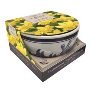 Taylors - Gift - Daffodil Tete-A-Tete Delft Bowl Showcase - 4 bulbs