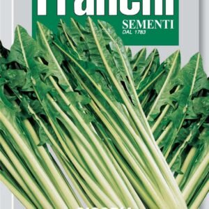 Franchi Seeds of Italy Chicory Gigante Di Chioggia Seeds