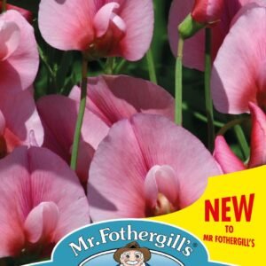 Mr Fothergills - Flower - Sweet Pea - Pink Tangier Pea - 20 Seeds
