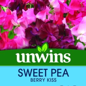 Unwins Sweet Pea Berry Kiss 21 Seeds