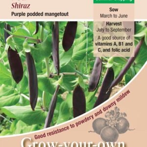 Kings Seeds Pea Shiraz 200 Seeds