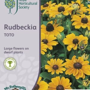 Mr Fothergills RHS Rudbeckia Toto 50 Seeds