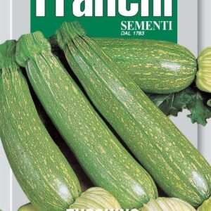 Franchi Seeds of Italy Courgette Alberello Di Sarzana Seeds